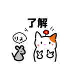 毎日、猫いっぱい（個別スタンプ：13）