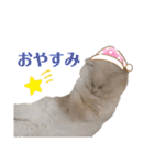 コロとマロンの幸せな毎日（個別スタンプ：3）