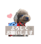 ティキのスタンプ♡（個別スタンプ：4）