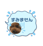 ティキのスタンプ♡（個別スタンプ：9）