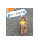 ティキのスタンプ♡（個別スタンプ：11）
