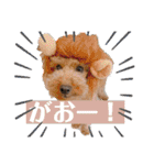 ティキのスタンプ♡（個別スタンプ：22）