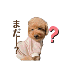 ティキのスタンプ♡（個別スタンプ：27）