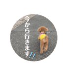 ティキのスタンプ♡（個別スタンプ：28）