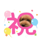 ティキのスタンプ♡（個別スタンプ：31）