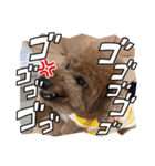 ティキのスタンプ♡（個別スタンプ：39）