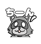 たぬきのスタンプ Raccoon Sticker（個別スタンプ：20）