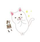 しろねこさん日常会話スタンプ3（個別スタンプ：10）