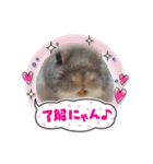 つみれ・いちご・おもち・たまご（個別スタンプ：9）