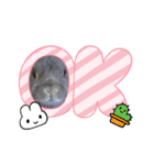 つみれ・いちご・おもち・たまご（個別スタンプ：10）