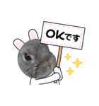 つみれ・いちご・おもち・たまご（個別スタンプ：14）