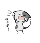 毎日ねこちゃんたち（個別スタンプ：1）