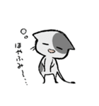 毎日ねこちゃんたち（個別スタンプ：2）
