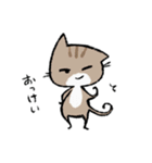 毎日ねこちゃんたち（個別スタンプ：5）
