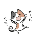 毎日ねこちゃんたち（個別スタンプ：7）