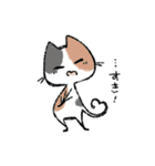 毎日ねこちゃんたち（個別スタンプ：8）