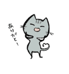 毎日ねこちゃんたち（個別スタンプ：13）