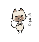 毎日ねこちゃんたち（個別スタンプ：15）