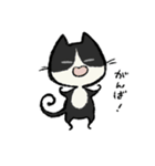 毎日ねこちゃんたち（個別スタンプ：17）