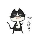 毎日ねこちゃんたち（個別スタンプ：18）