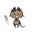 毎日ねこちゃんたち（個別スタンプ：19）