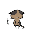 毎日ねこちゃんたち（個別スタンプ：20）