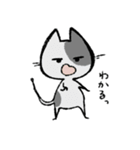 毎日ねこちゃんたち（個別スタンプ：21）