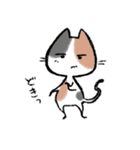 毎日ねこちゃんたち（個別スタンプ：27）