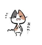 毎日ねこちゃんたち（個別スタンプ：28）