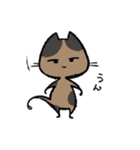 毎日ねこちゃんたち（個別スタンプ：39）