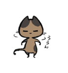毎日ねこちゃんたち（個別スタンプ：40）