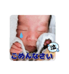 蒼ちゃん ao1（個別スタンプ：13）