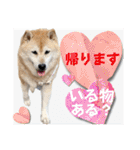 むぎ＆あずき（個別スタンプ：18）