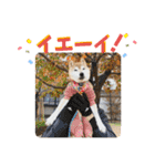 むぎ＆あずき（個別スタンプ：34）