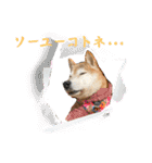 むぎ＆あずき（個別スタンプ：36）