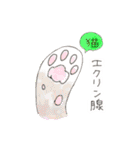 誰得？愛玩動物看護師のおスタンプ（個別スタンプ：5）