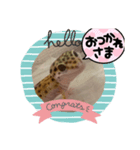 ローチスタンプ（個別スタンプ：4）