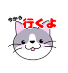 ぐれ〜ねこ     猫の日（個別スタンプ：6）