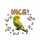 うちのブリちゃん（インコ）（個別スタンプ：5）
