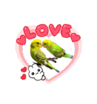 うちのブリちゃん（インコ）（個別スタンプ：15）