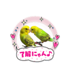 うちのブリちゃん（インコ）（個別スタンプ：16）
