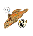 海 お魚 面白可愛いスタンプ（個別スタンプ：3）