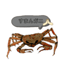 海 お魚 面白可愛いスタンプ（個別スタンプ：4）
