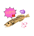海 お魚 面白可愛いスタンプ（個別スタンプ：6）