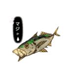 海 お魚 面白可愛いスタンプ（個別スタンプ：7）