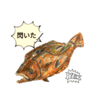 海 お魚 面白可愛いスタンプ（個別スタンプ：9）