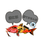 海 お魚 面白可愛いスタンプ（個別スタンプ：22）
