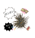 海 お魚 面白可愛いスタンプ（個別スタンプ：26）