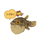 海 お魚 面白可愛いスタンプ（個別スタンプ：29）