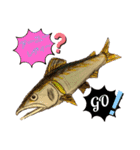 海 お魚 面白可愛いスタンプ（個別スタンプ：30）